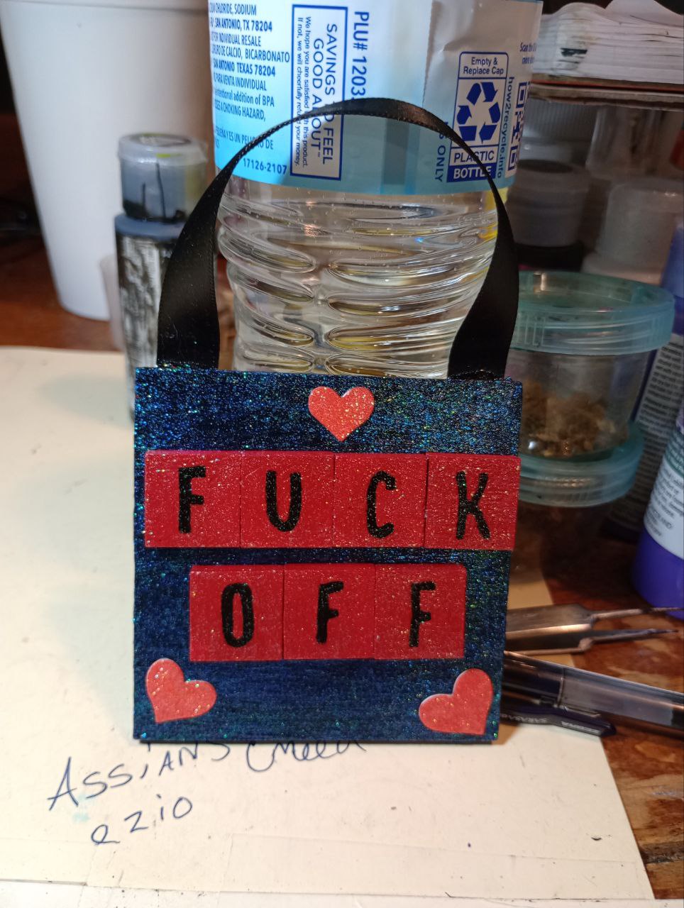 Small Decorative Door Sign- Profanity included